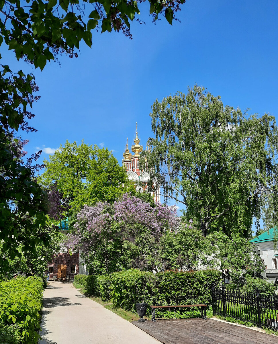 Фото ph_zakharenkova 2022, Москва, Новодевичий монастырь