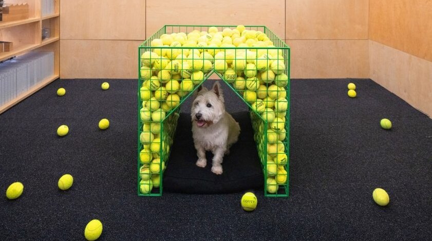 Собачья конура Fetch, Coffey Architects