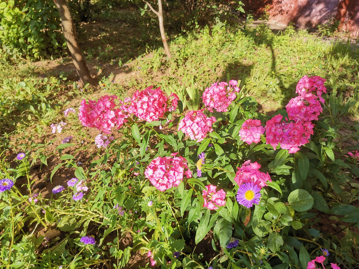 В прошлом году