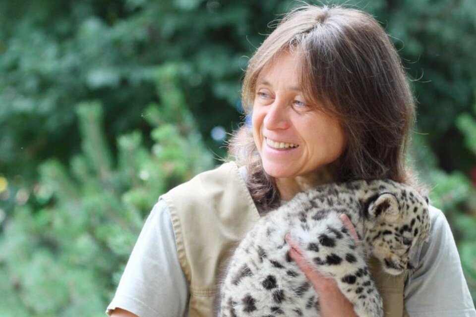    Как Ирине Скибе отказали в восстановлении в должности директора Ленинградского зоопарка. Фото: Ленинградский зоопарк