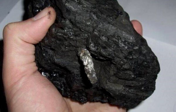 Странный предмет был обнаружен в угле жителем Владивостока, когда он разжигал огонь в своем камине морозными зимними вечерами. pinterest.com