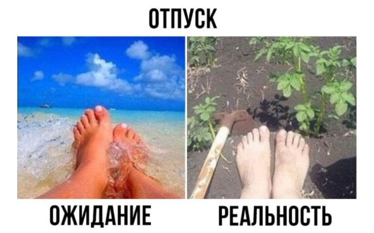 Яндекс картинки