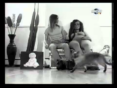 Скрин из клипа - исполнитель хита Игги Поп, надувная кукла и кошка. Ничего необычного, читайте дальше