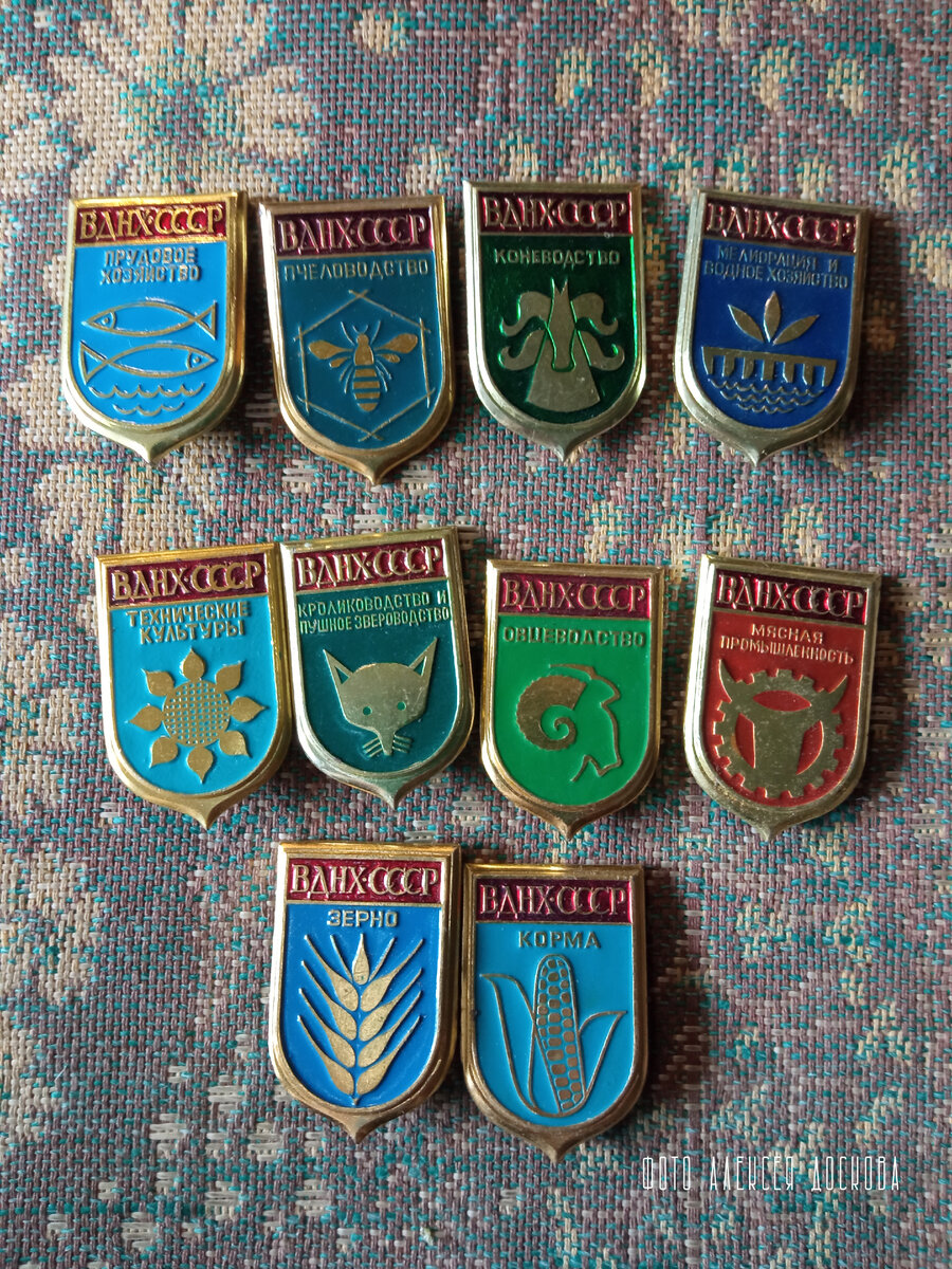 Коллекция. Значки | Моя Саратовская жизнь | Дзен