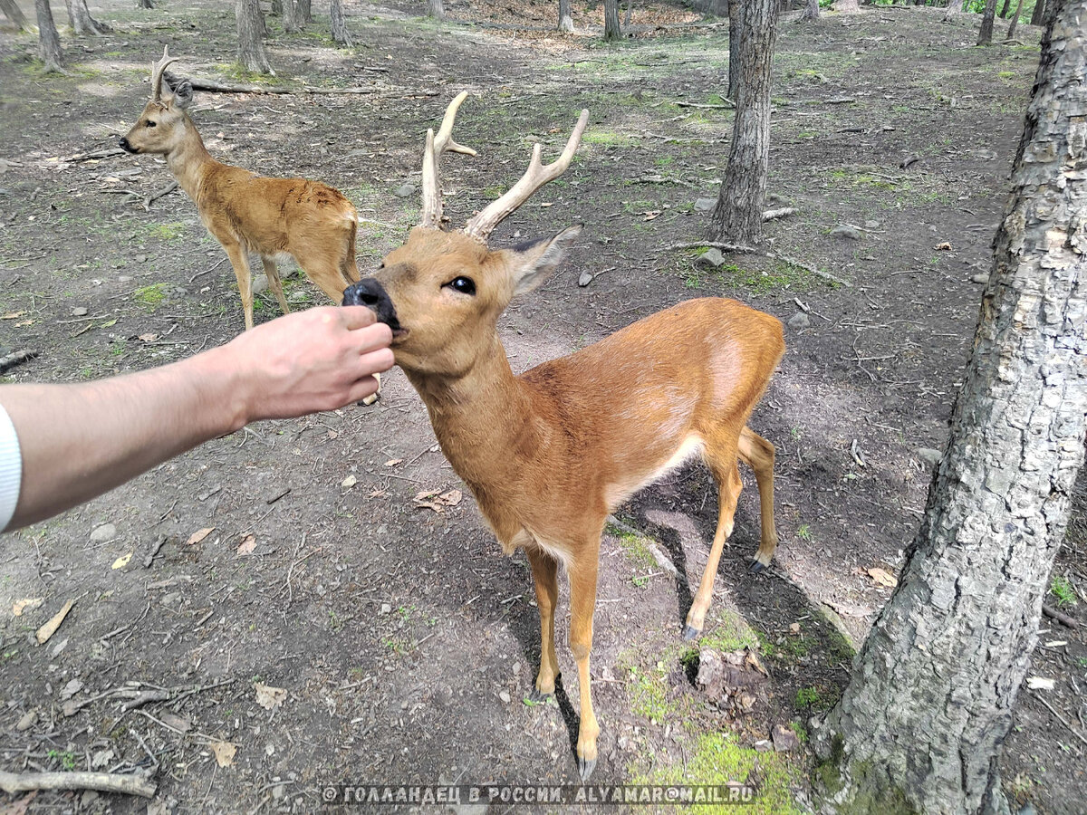 Фото: из личного архива