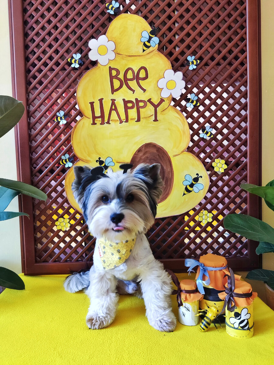 Пчелёнок Бжик и мед. 