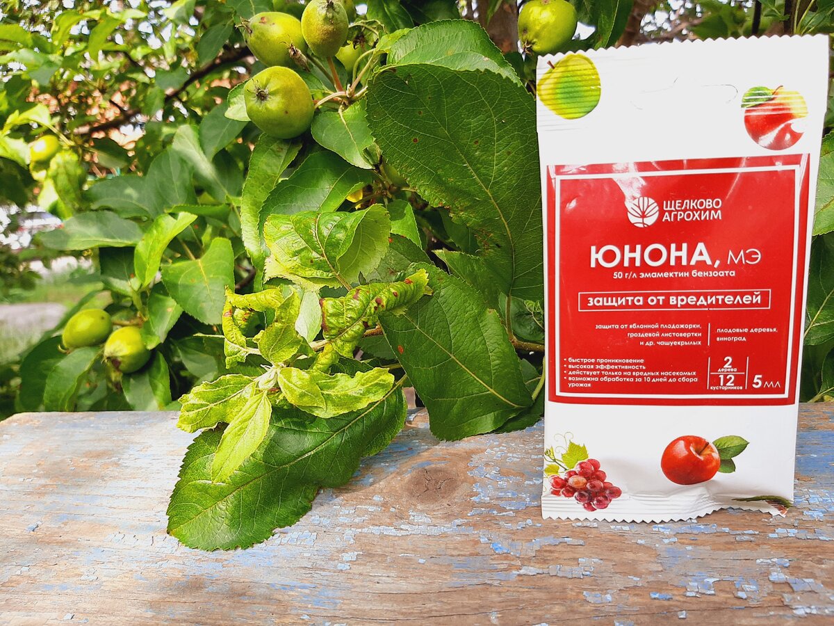    Высокоэффективный контактно-кишечный биологический инсектицид «Юнона» для борьбы с чешуекрылыми насекомыми-вредителями