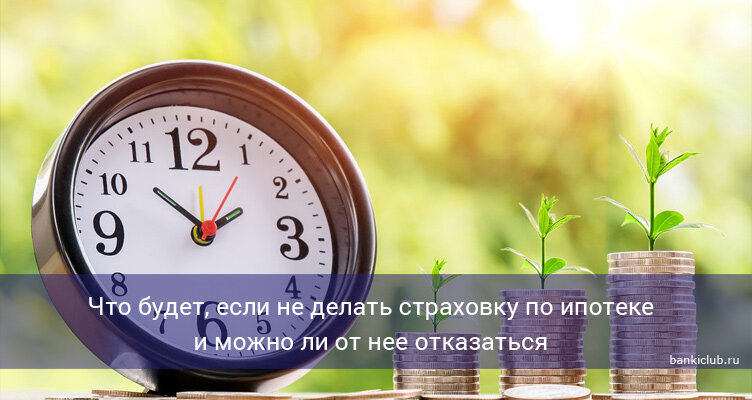 Фото: pixabay.com