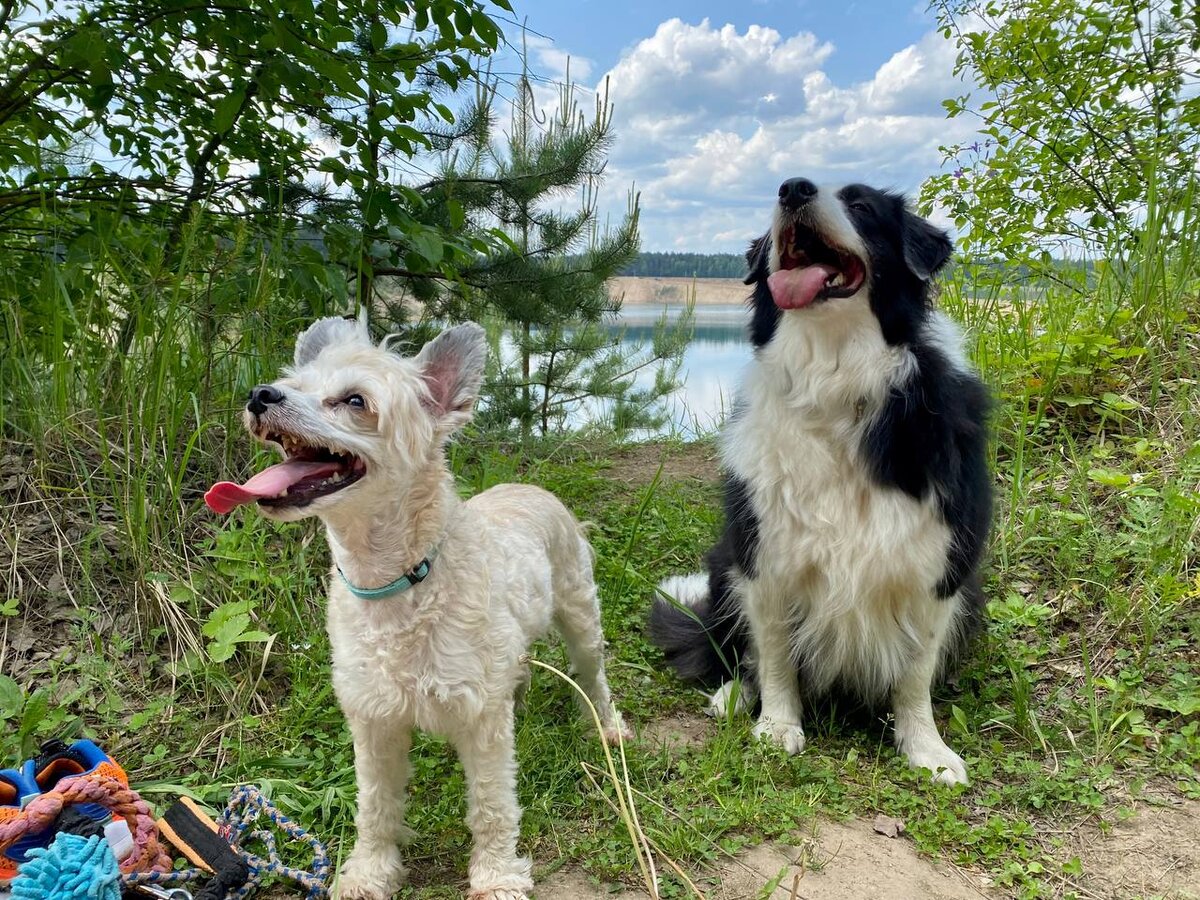 Фиона и Баста