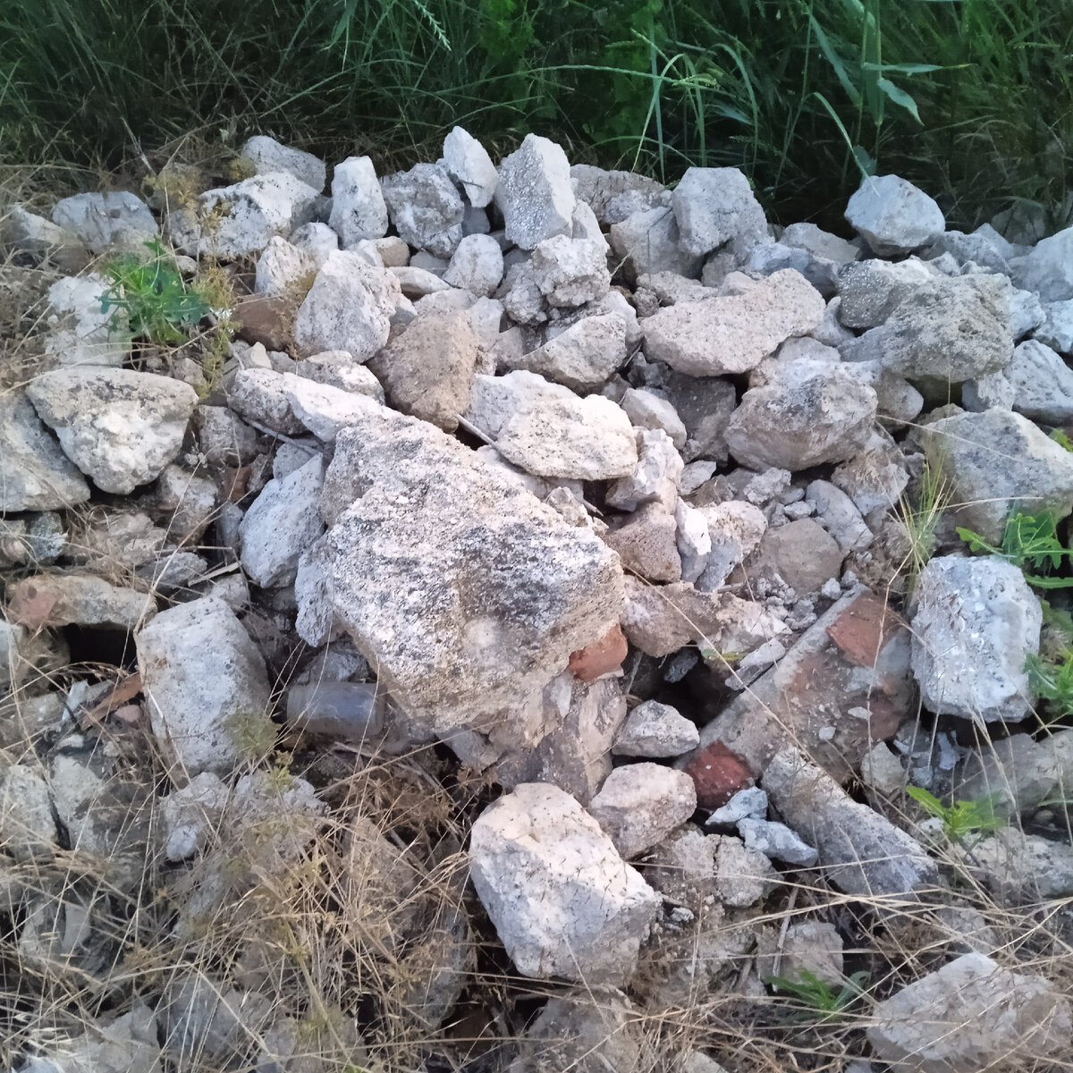 Камни с нашего участка. Небольшая часть. 