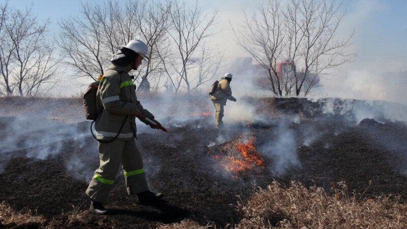     Горит сухая трава. ГУ МЧС по Алтайскому краю