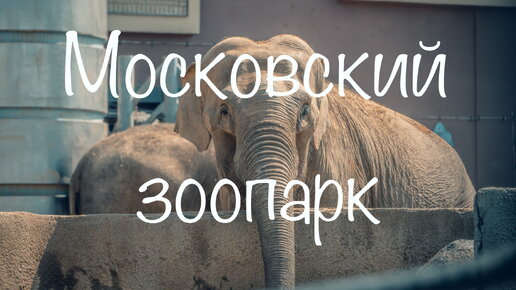 Московский зоопарк