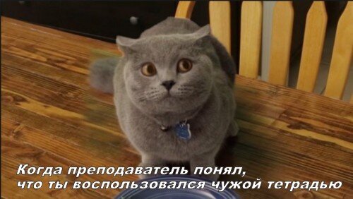 Ну что ж за наказание)