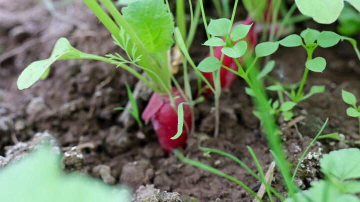 ФОТО: ELENA MAYOROVA/GLOBALLOOKPRESS