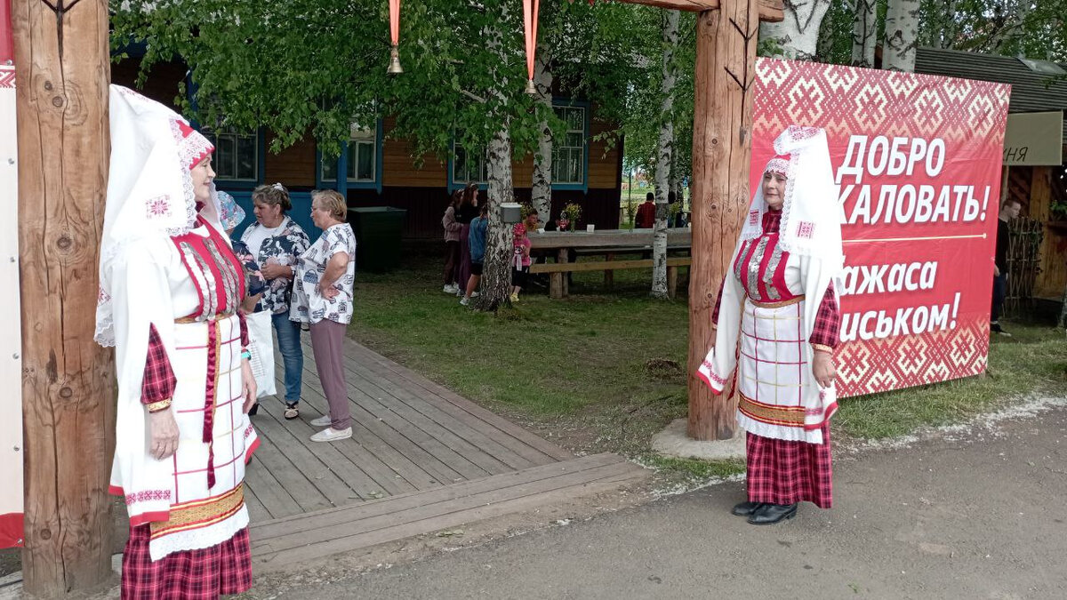 Праздник гербер рисунок