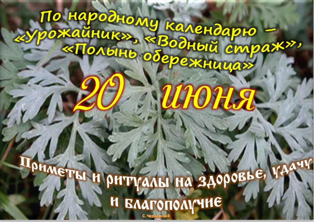 Встречаем новый день