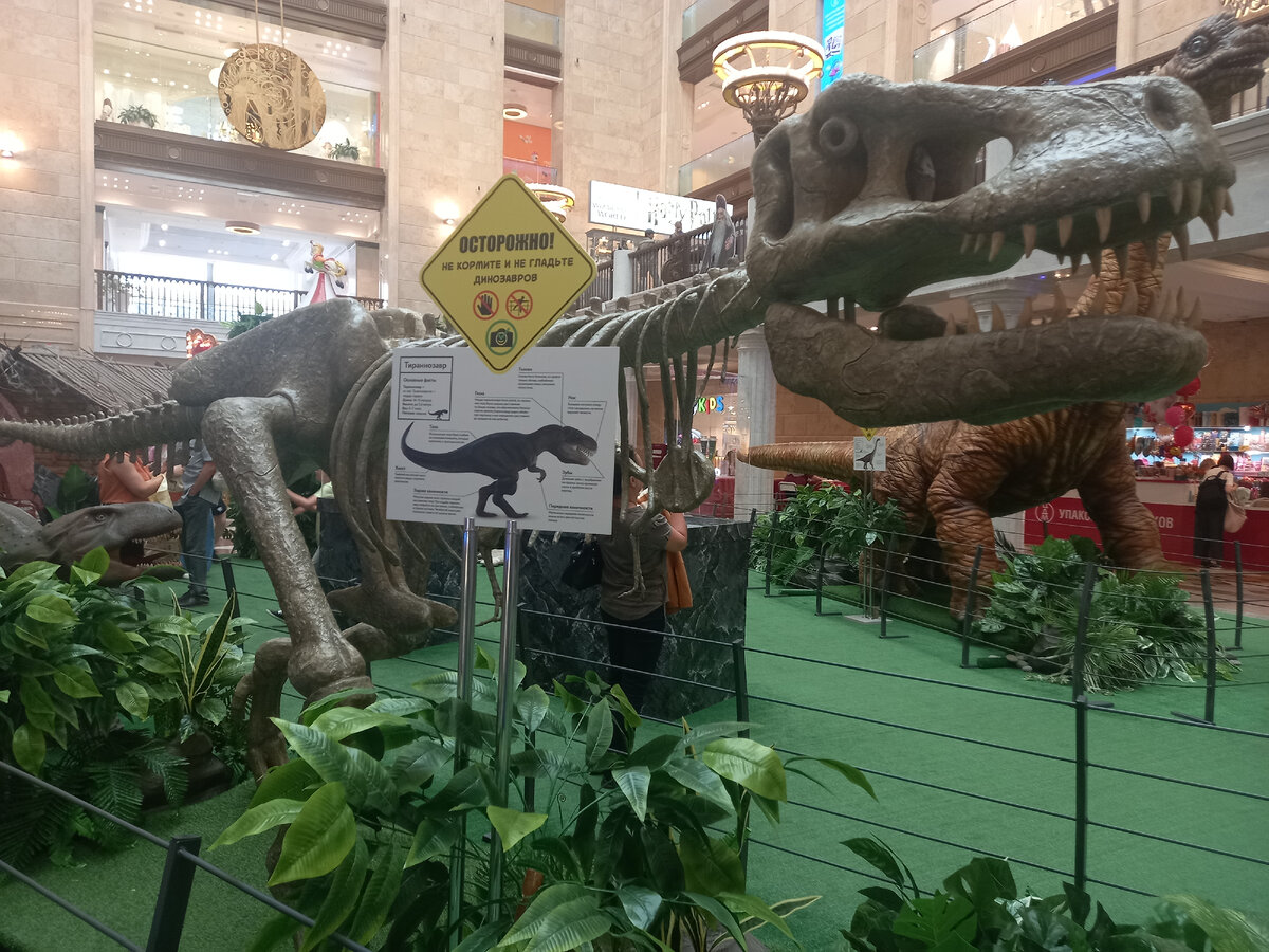 фестиваль динозавров в шестаково 2022. динотерра фестиваль 2022 шоу дронов. шестаково чебулинский район фестиваль в гостях у динозавра. динозавры на каникулах в цдм. парад динозавров.