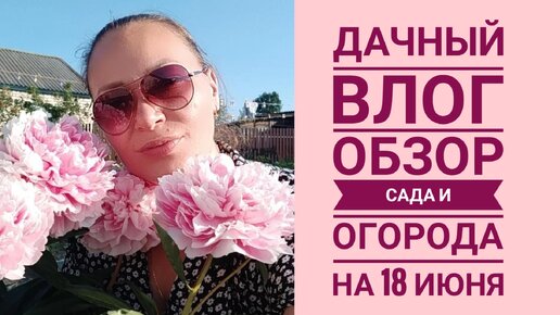 ДАЧНЫЙ ВЛОГ. ОБЗОР САДА НА 18 ИЮНЯ. ПИОНЫ ЦВЕТУТ 🌺 ОГУРЦЫ РАСТУТ 🥒