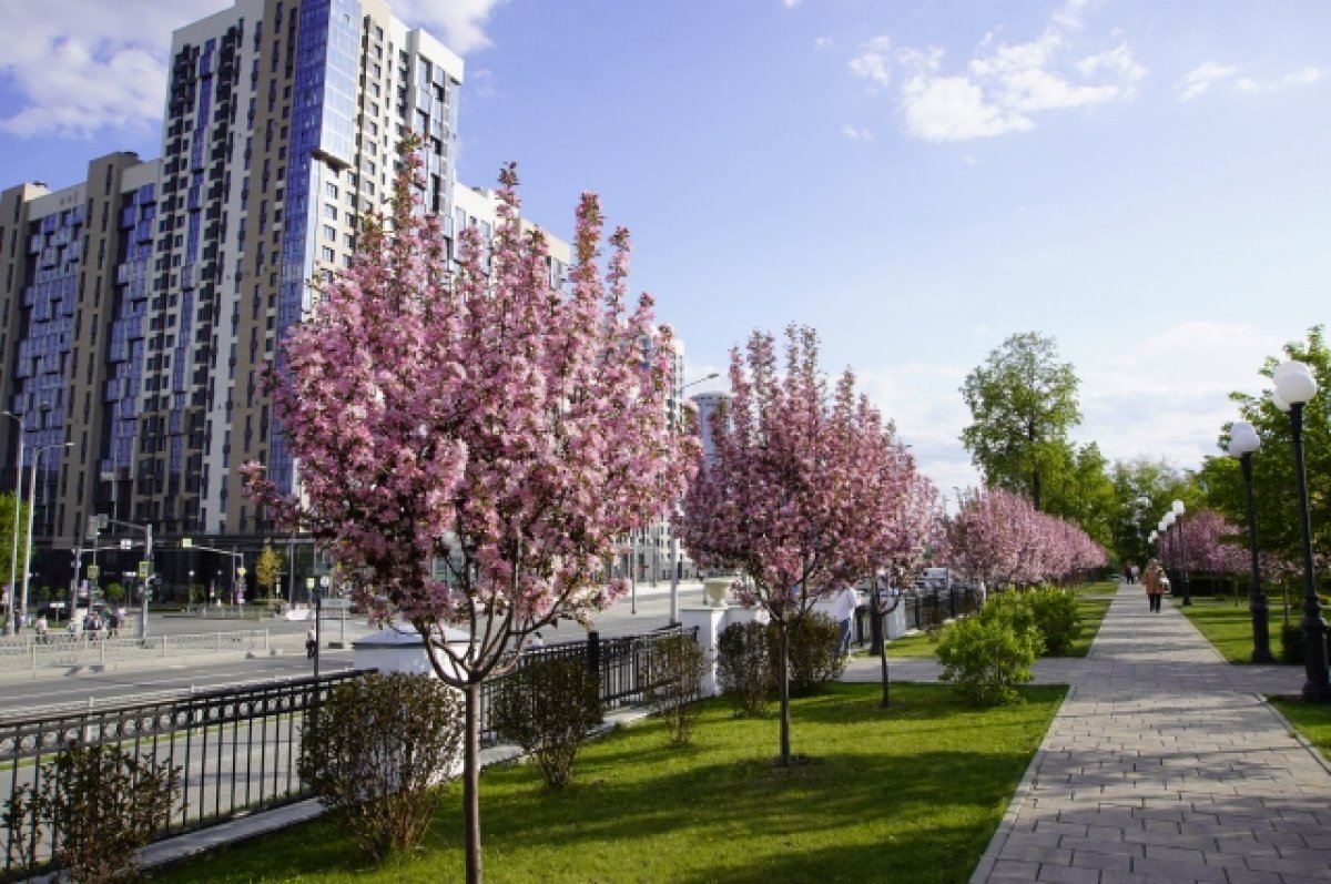    «Росгосстрах»: в 2023 году ипотечное страхование показывает рост