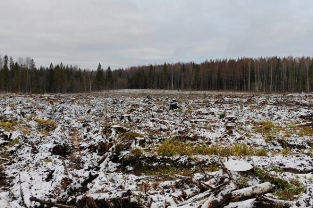    Фото: Из архива/ УМВД России по Тверской области