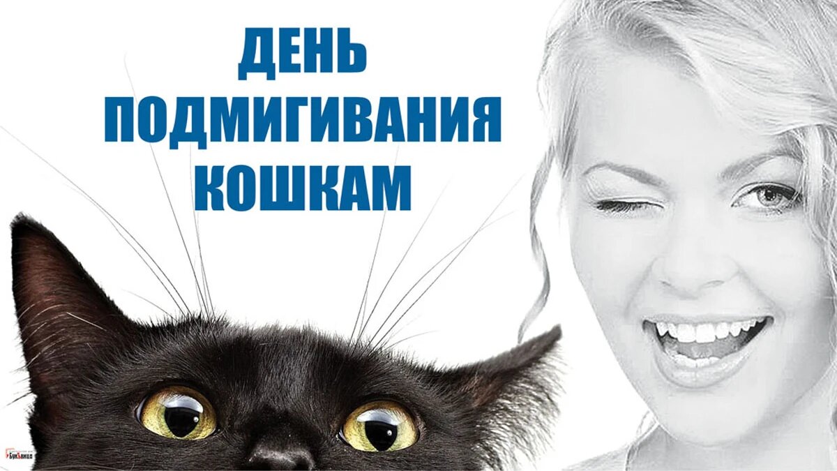 День подмигивания кошкам. Иллюстрация: «Весь Искитим»