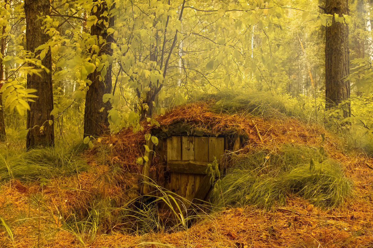 фото из интернета