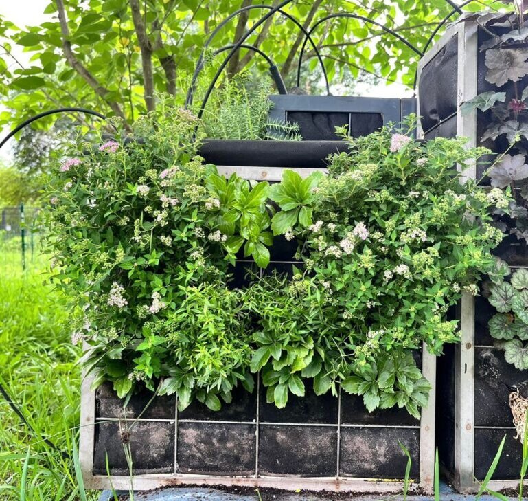    Модульные конструкции для вертикального озеленения фасадов / ©Пресс-служба ЮФУ