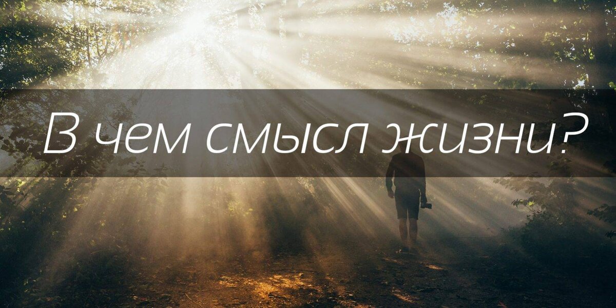 Впервые в истории не субъективный, а объективный, 100% научный ответ!