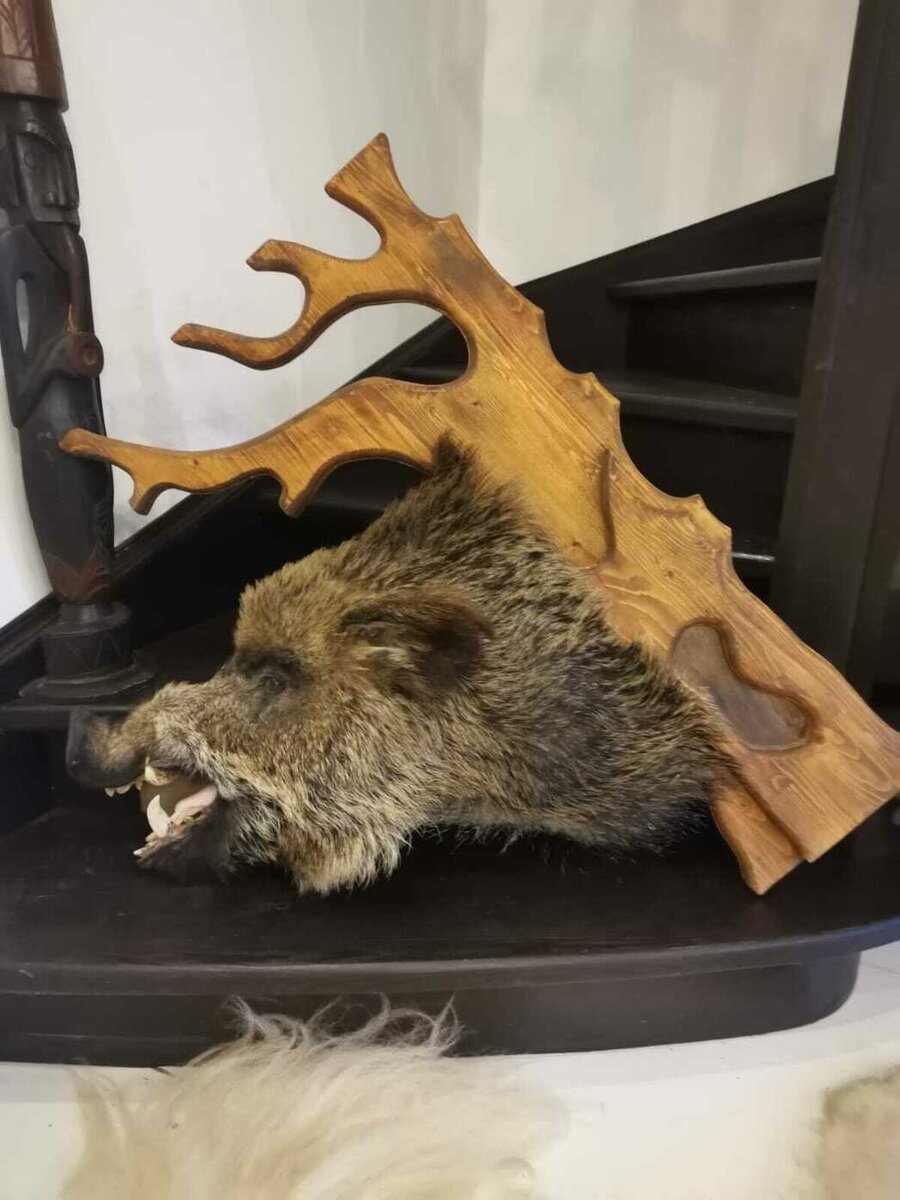 Музей диаграмма воронеж
