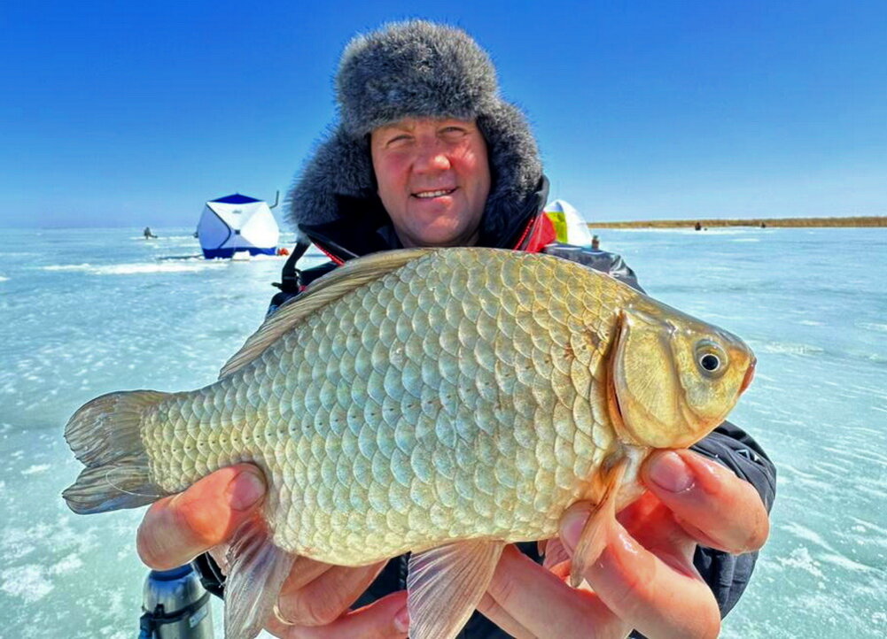 Зимний карась это вам не экзотика.