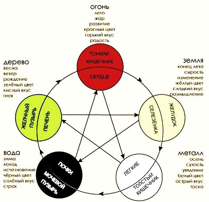 Система 5 элементов. Круг у-син 5 элементов. Теория Усин китайская. Схема у-син пять первоэлементов. У-син теория 5 первоэлементов.