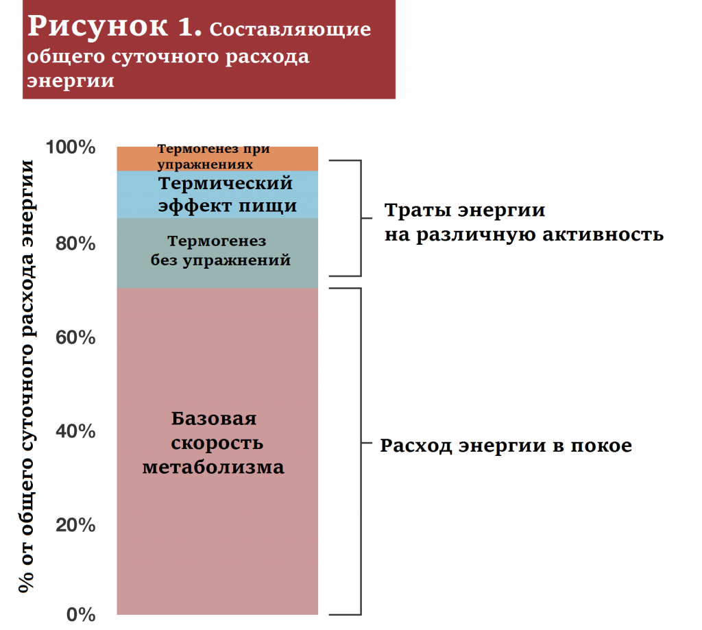 Да-да, базовая скорость метаболизма снижается на голодных диетах для похудения.