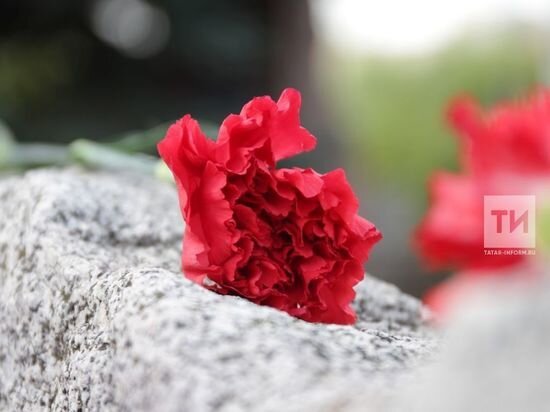     Фото: ИА "Татар-информ"