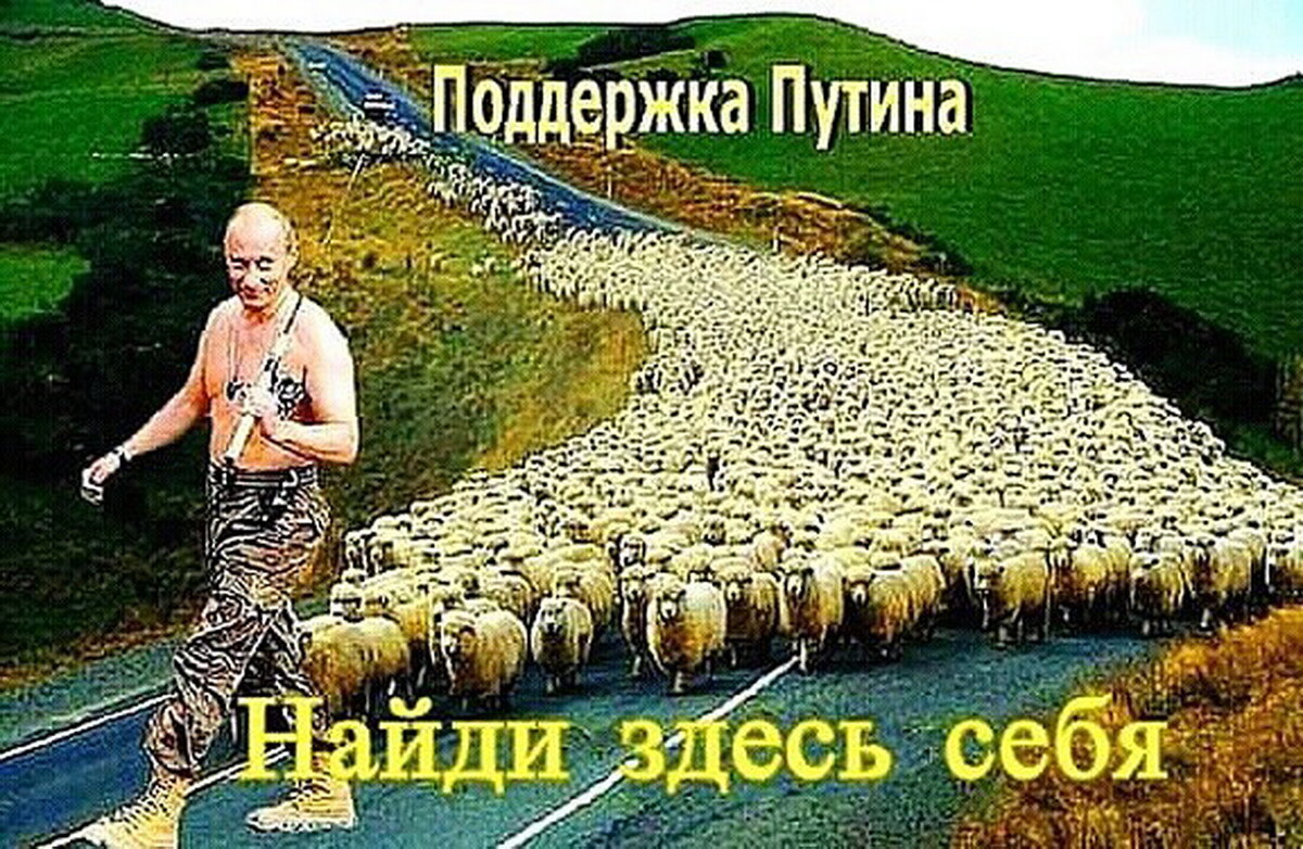 Путинские бараны