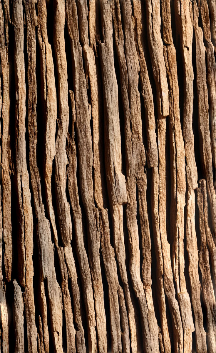 Кора дерева 1
