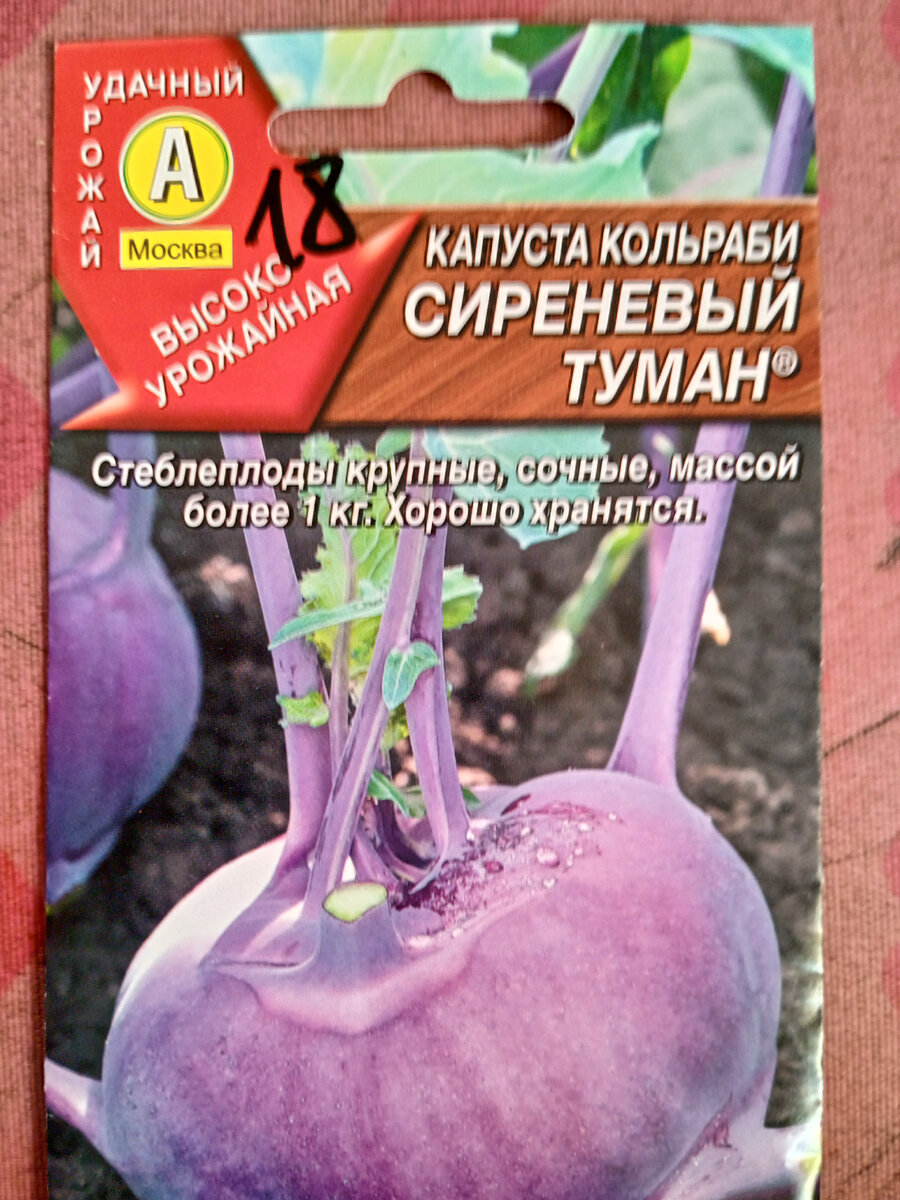 Готовлюсь к решительному шагу - посадке капусты кольраби Сиреневый туман |  Урожай всегда и во всем | Дзен