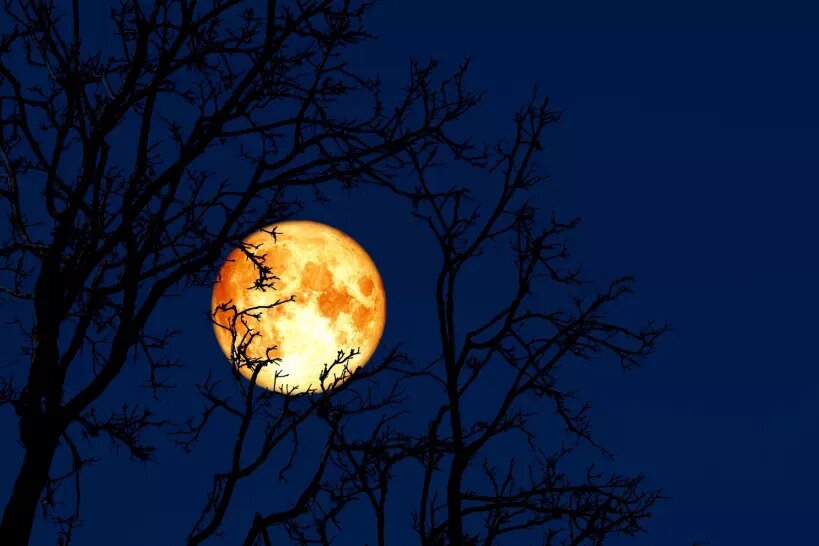     7 марта на небе воссияет Луна Червя