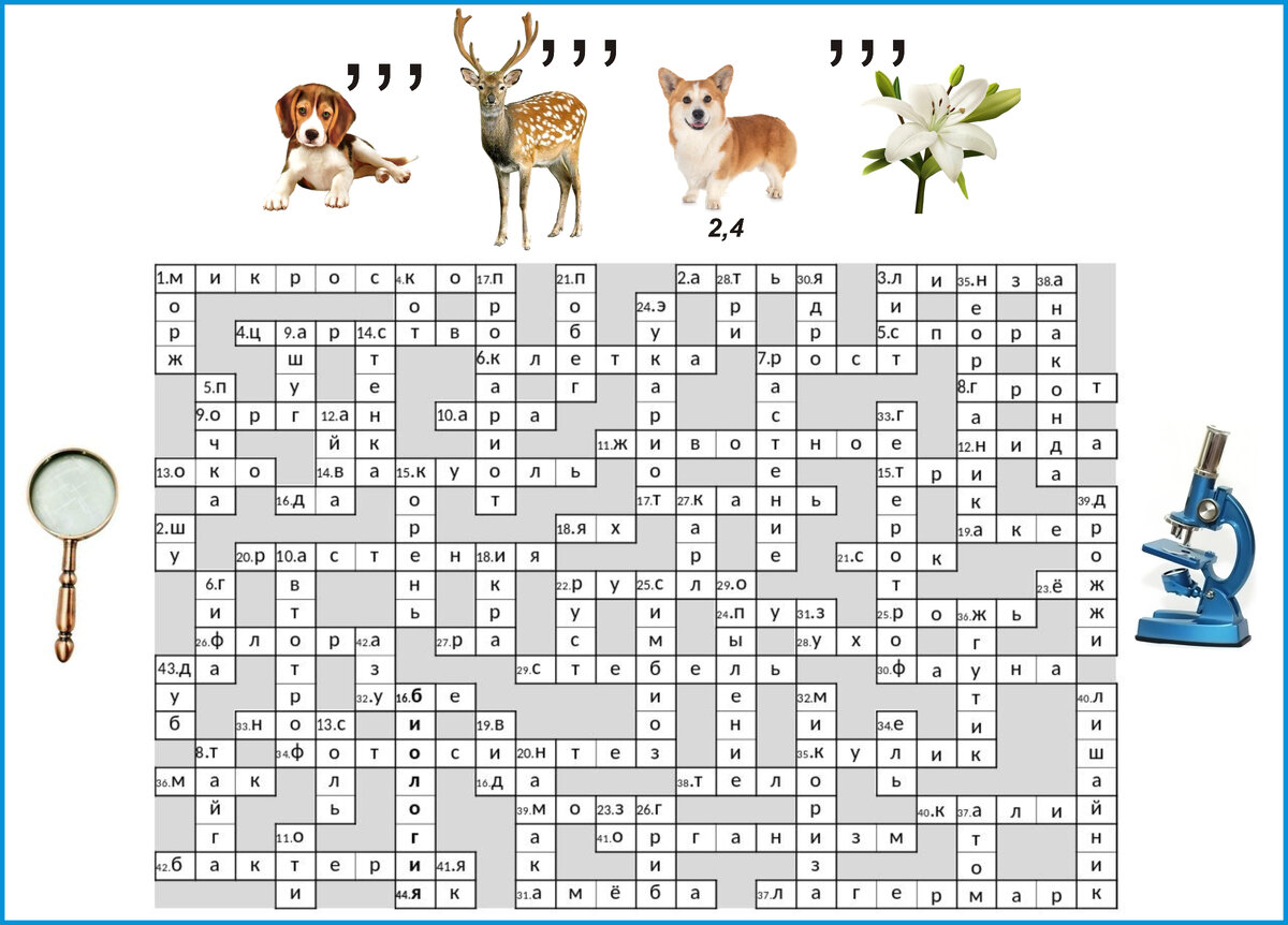 Игра кроссворд составить слово. Составление сканворда поэтапно. ИТМ составления кроссворда. Составления кроссворда на тему Дикие и домашние животные 2 класс. Программа для составления сканвордов из своих слов.