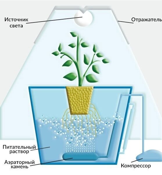 Гидропонная установка своими руками схема