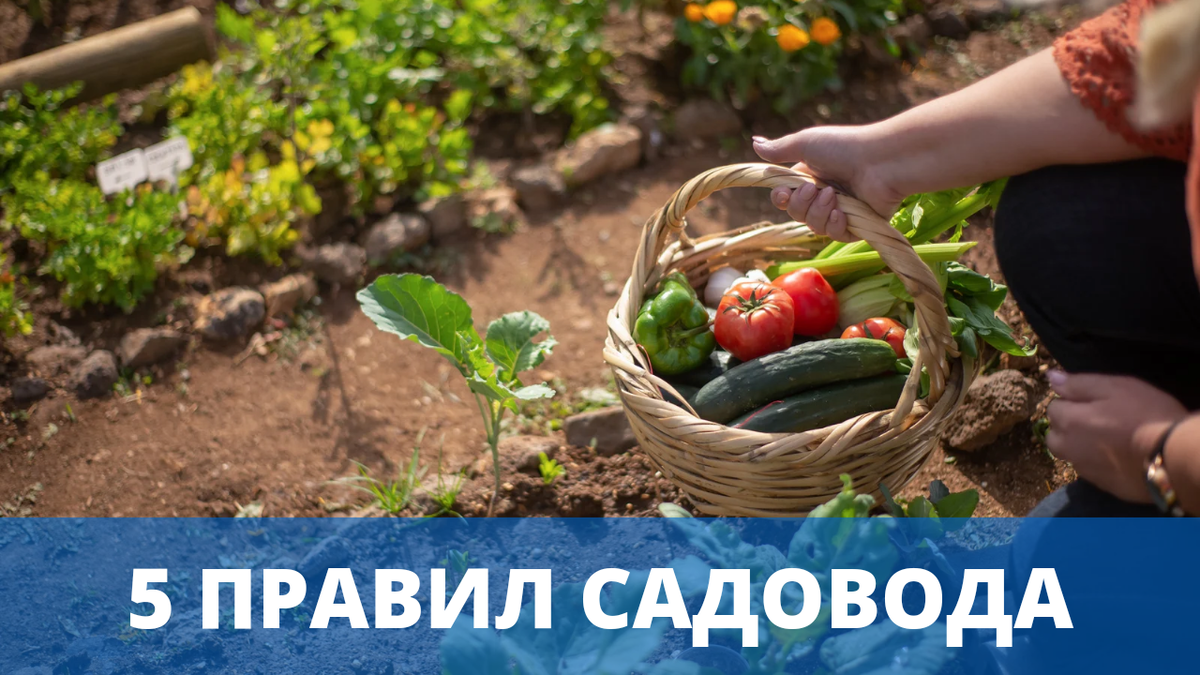 5 правил садовода