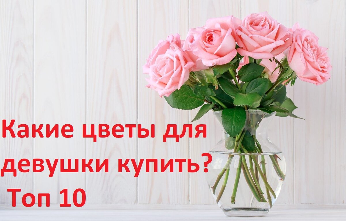 Топ 10 цветов, от которых ваша девушка будет без ума. | Бегущая по волнам |  Дзен