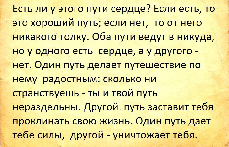 20 цитат из книги «Учение дона Хуана», которые переворачивают сознание