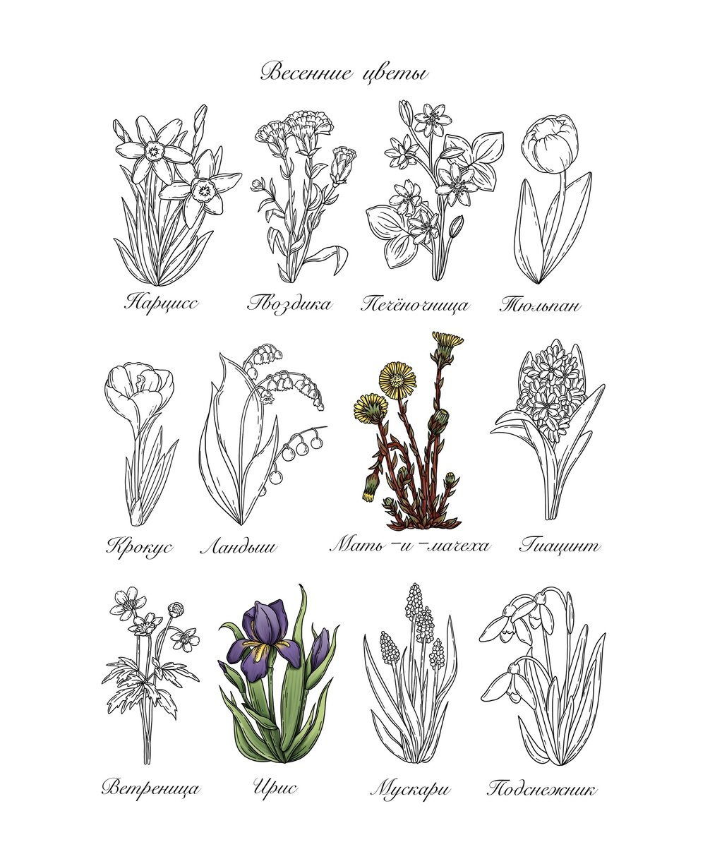 Раскраска весна раскраски на тему время года весна