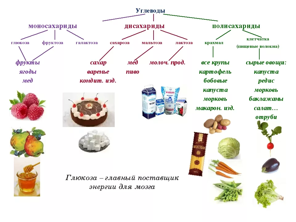 Какие продукты относятся к функциональным