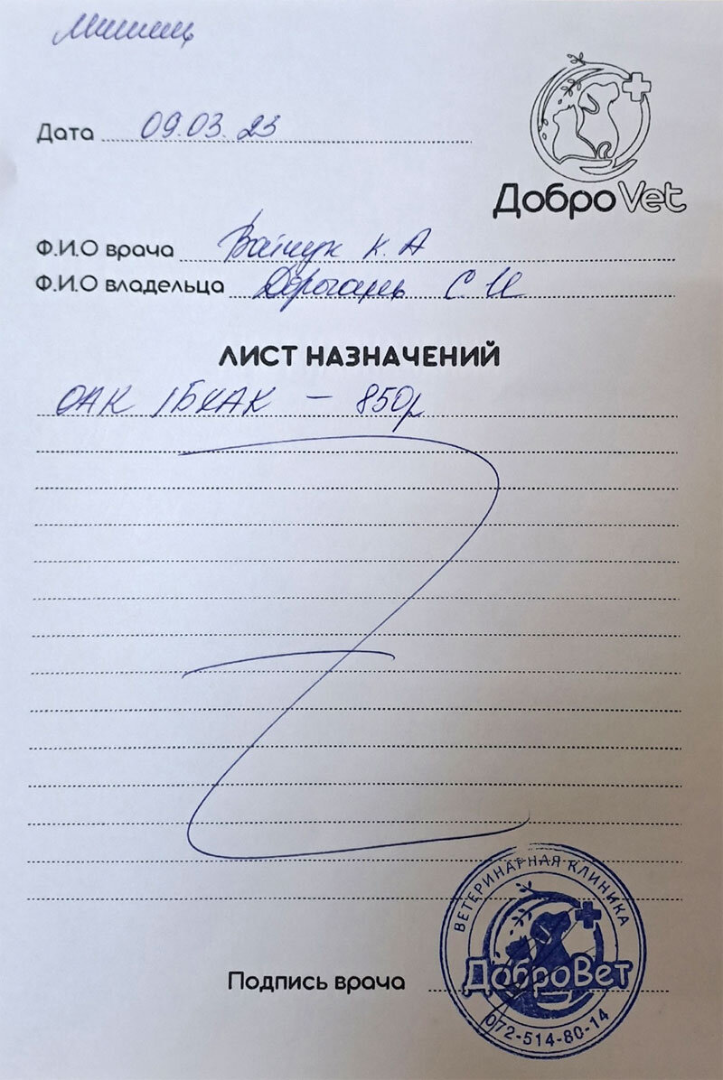 Долг в клинике.
