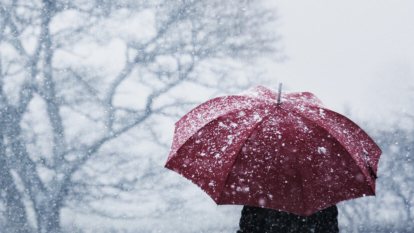   Gettyimages.ru Andrew Bret Wallis