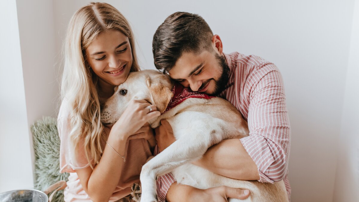    В Югре подвели итоги зоозащитной акции «сНежный пёс»