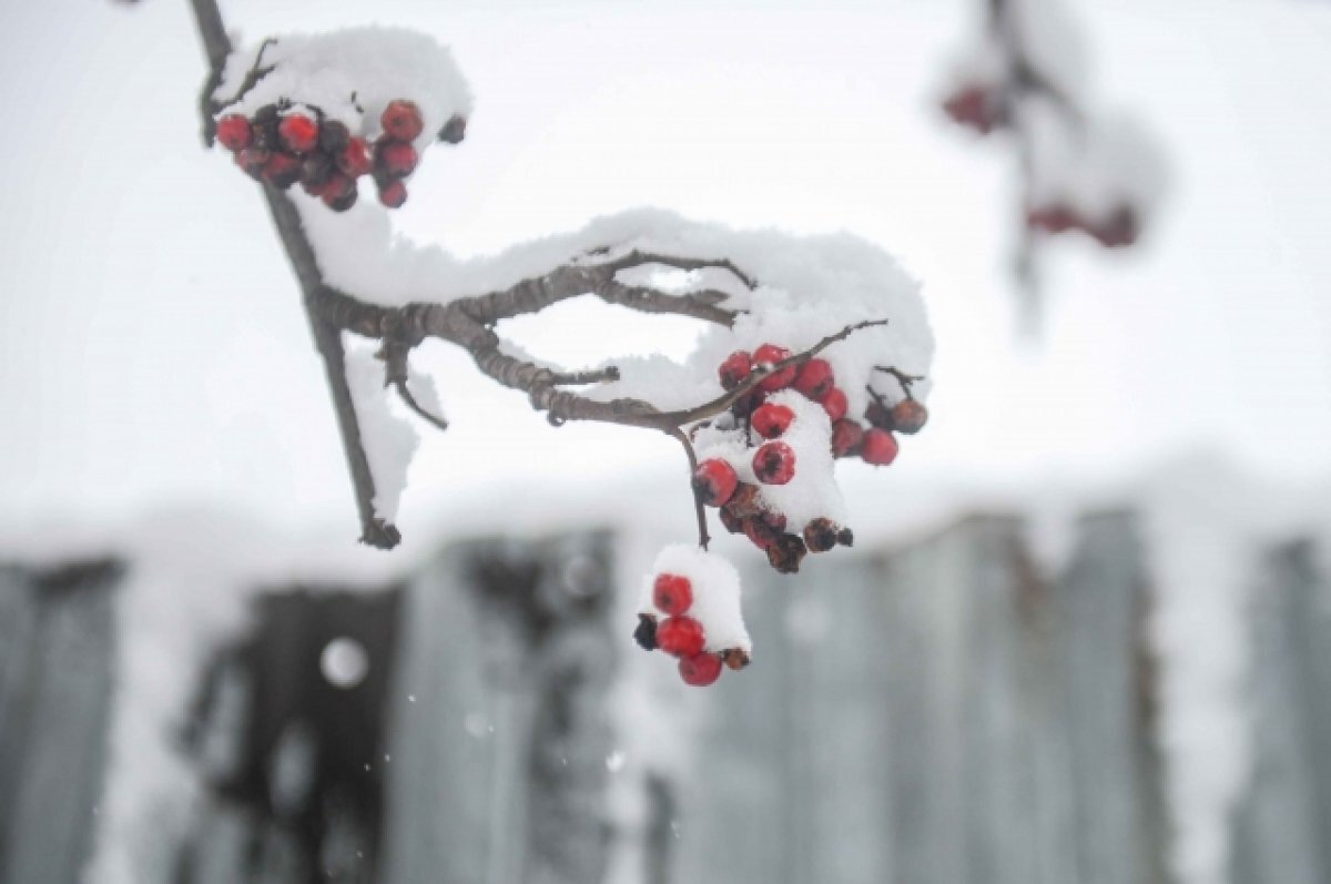    В Туле 10 марта прогнозируют облачную погоду, порывистый ветер и до -2