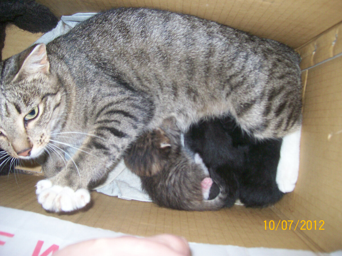 Сюрприиииз!