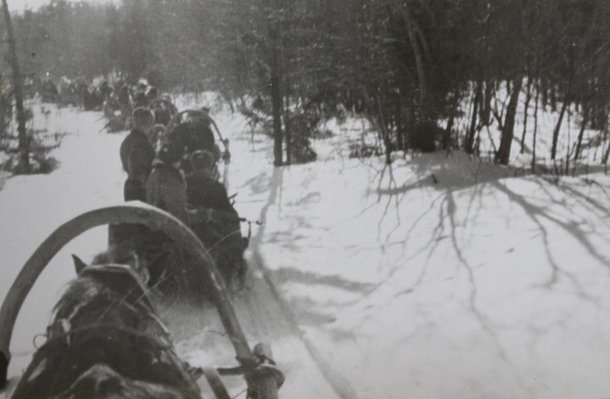 Партизанский обоз, доставляющий продукты в блокадный Ленинград